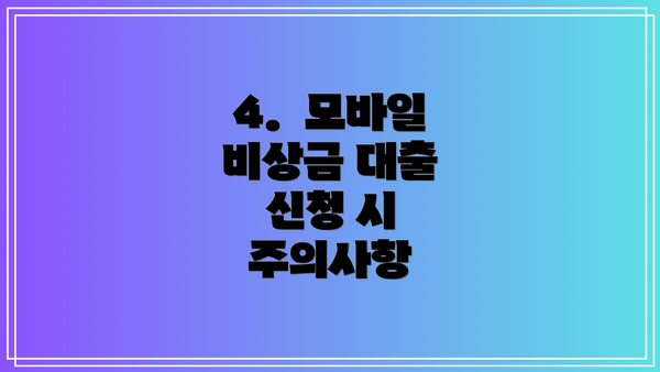 4.  모바일 비상금 대출 신청 시 주의사항