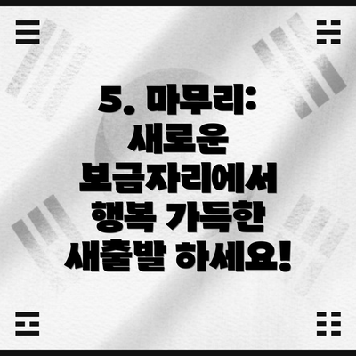 5. 마무리:  새로운 보금자리에서 행복 가득한 새출발 하세요!