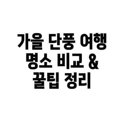 가을 단풍 여행 명소 비교 & 꿀팁 정리