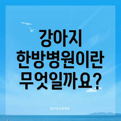 강아지 한방병원이란 무엇일까요?