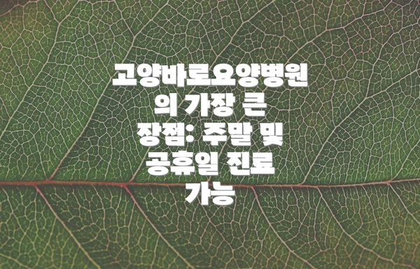 고양바로요양병원의 가장 큰 장점: 주말 및 공휴일 진료 가능