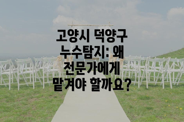 고양시 덕양구 누수탐지: 왜 전문가에게 맡겨야 할까요?