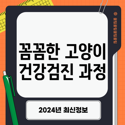 꼼꼼한 고양이 건강검진 과정