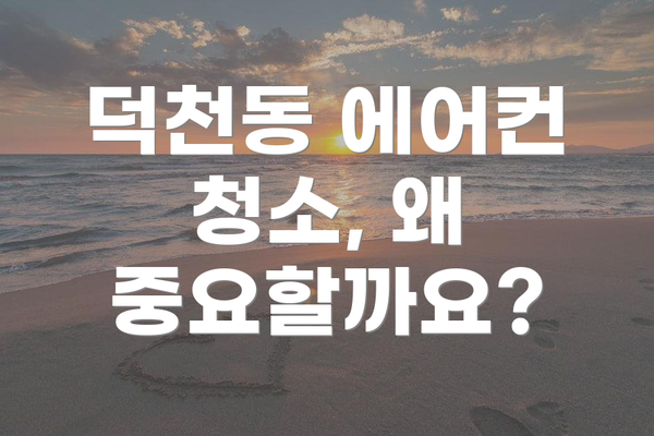 덕천동 에어컨 청소, 왜 중요할까요?
