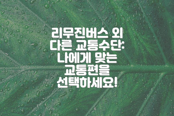 리무진버스 외 다른 교통수단:  나에게 맞는 교통편을 선택하세요!