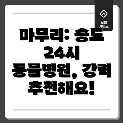 마무리: 송도 24시 동물병원, 강력 추천해요!