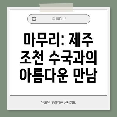 마무리: 제주 조천 수국과의 아름다운 만남