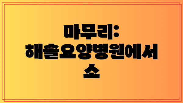 마무리: 해솔요양병원에서 소