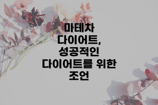 마테차 다이어트, 성공적인 다이어트를 위한 조언
