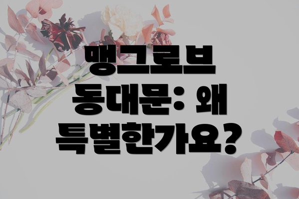 맹그로브 동대문: 왜 특별한가요?