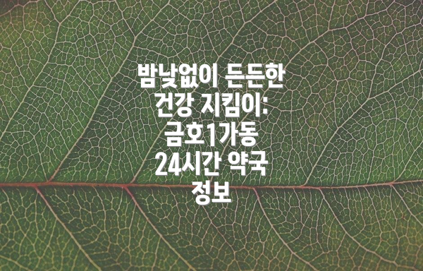 밤낮없이 든든한 건강 지킴이: 금호1가동 24시간 약국 정보