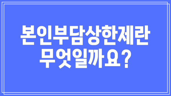 본인부담상한제란 무엇일까요?