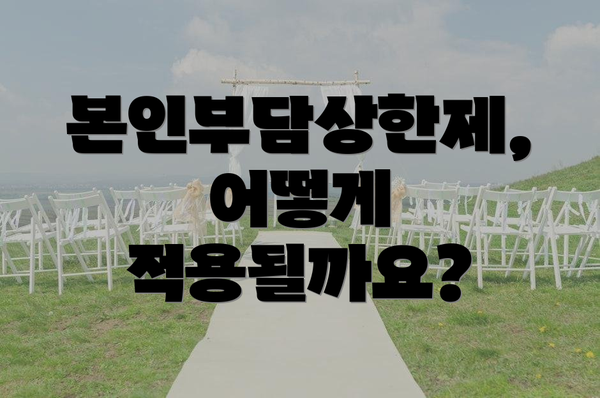 본인부담상한제, 어떻게 적용될까요?
