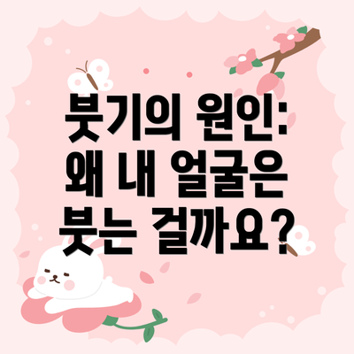 붓기의 원인: 왜 내 얼굴은 붓는 걸까요?