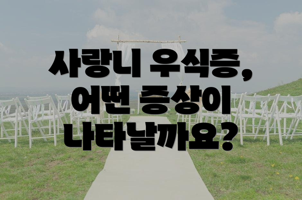 사랑니 우식증, 어떤 증상이 나타날까요?