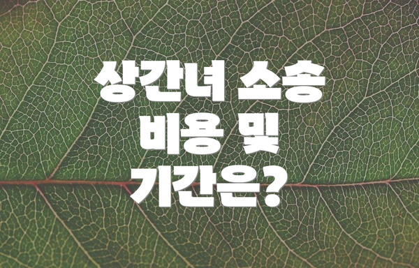 상간녀 소송 비용 및 기간은?