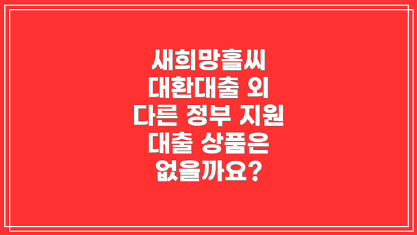 새희망홀씨 대환대출 외 다른 정부 지원 대출 상품은 없을까요?