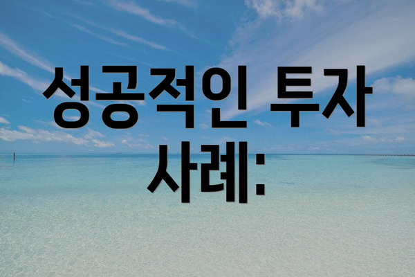 성공적인 투자 사례: