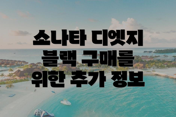 소나타 디엣지 블랙 구매를 위한 추가 정보
