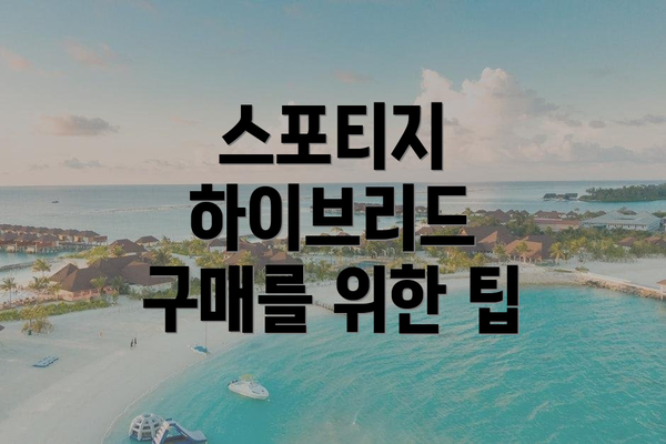 스포티지 하이브리드 구매를 위한 팁