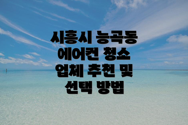 시흥시 능곡동 에어컨 청소 업체 추천 및 선택 방법