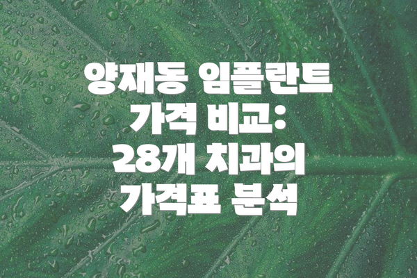 양재동 임플란트 가격 비교: 28개 치과의 가격표 분석