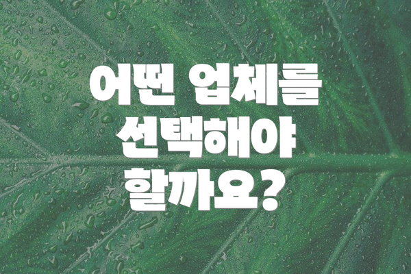 어떤 업체를 선택해야 할까요?