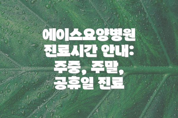 에이스요양병원 진료시간 안내: 주중, 주말, 공휴일 진료