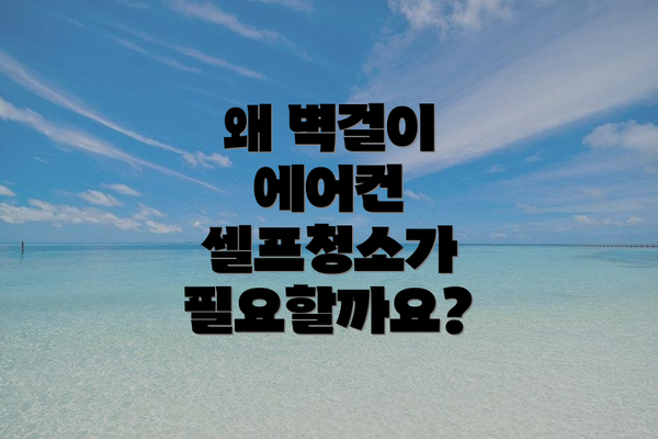 왜 벽걸이 에어컨 셀프청소가 필요할까요?