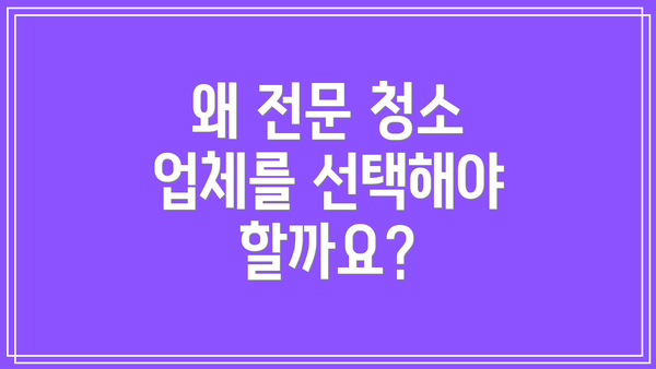 왜 전문 청소 업체를 선택해야 할까요?