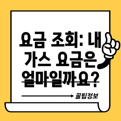 요금 조회: 내 가스 요금은 얼마일까요?