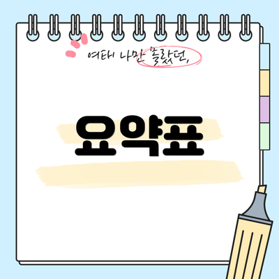 요약표