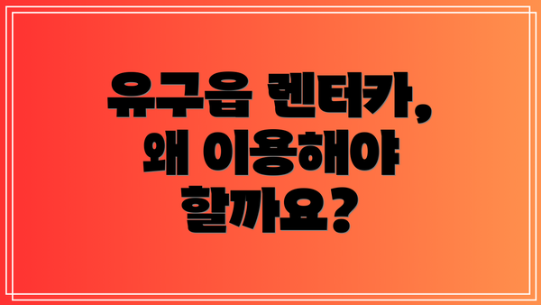 유구읍 렌터카, 왜 이용해야 할까요?