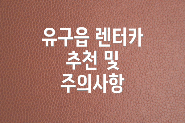 유구읍 렌터카 추천 및 주의사항