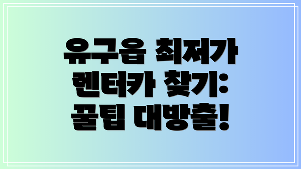 유구읍 최저가 렌터카 찾기: 꿀팁 대방출!