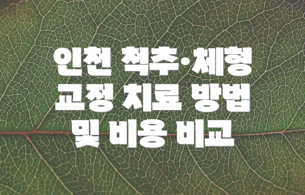 인천 척추·체형 교정 치료 방법 및 비용 비교