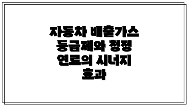 자동차 배출가스 등급제와 청정 연료의 시너지 효과
