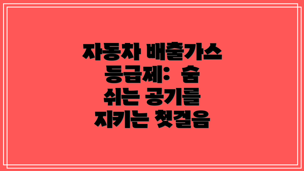 자동차 배출가스 등급제:  숨 쉬는 공기를 지키는 첫걸음