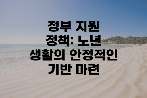 정부 지원 정책: 노년 생활의 안정적인 기반 마련