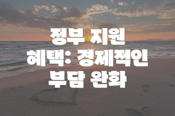 정부 지원 혜택: 경제적인 부담 완화