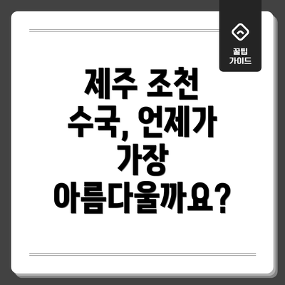 제주 조천 수국, 언제가 가장 아름다울까요?