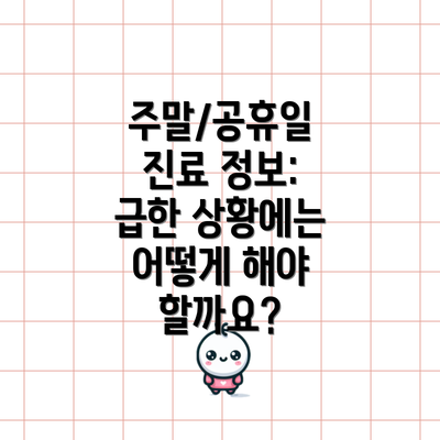 주말/공휴일 진료 정보: 급한 상황에는 어떻게 해야 할까요?