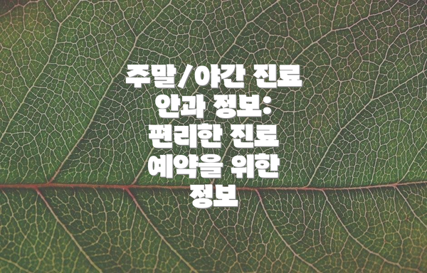 주말/야간 진료 안과 정보: 편리한 진료 예약을 위한 정보