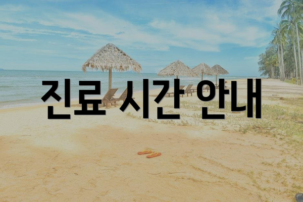 진료 시간 안내