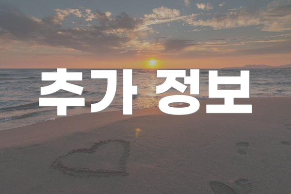 추가 정보