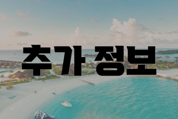 추가 정보