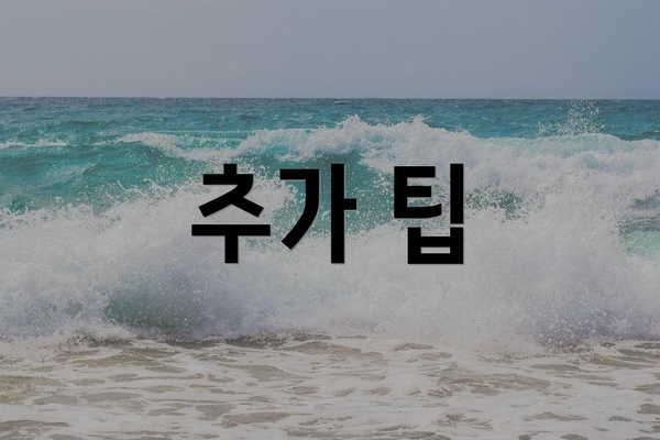 추가 팁