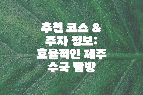 추천 코스 & 주차 정보: 효율적인 제주 수국 탐방