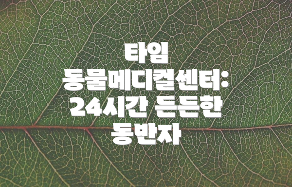 타임 동물메디컬센터: 24시간 든든한 동반자