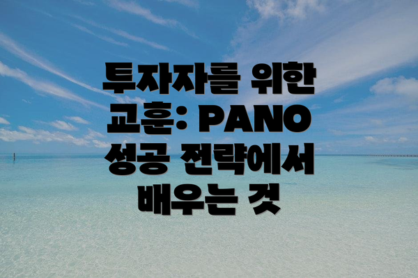 투자자를 위한 교훈: PANO 성공 전략에서 배우는 것